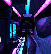 18 passenger limo bus rental